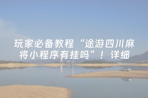 玩家必备教程“途游四川麻将小程序有挂吗”！详细开挂教程（确实真的有挂)-抖音