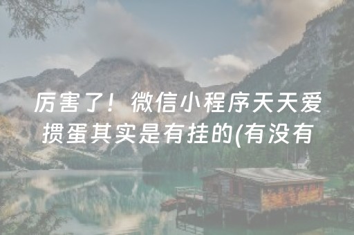 厉害了！微信小程序天天爱掼蛋其实是有挂的(有没有猫腻)