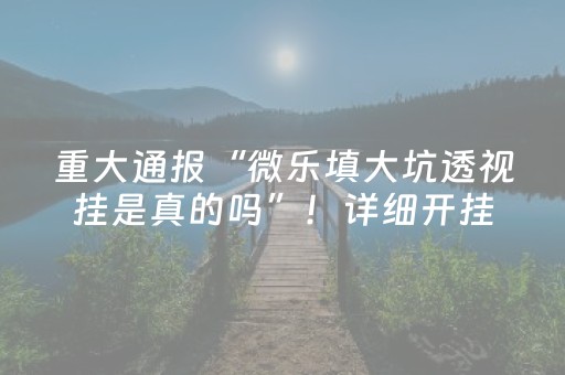 重大通报“微乐填大坑透视挂是真的吗”！详细开挂教程（确实真的有挂)-抖音