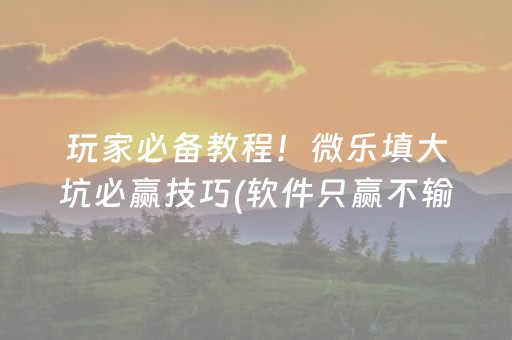 玩家必备教程！微乐填大坑必赢技巧(软件只赢不输)