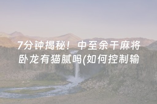 7分钟揭秘！中至余干麻将卧龙有猫腻吗(如何控制输赢)