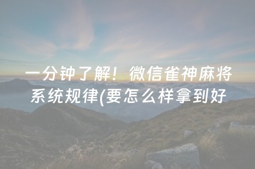分享辅助“陕麻圈捉老麻辅助器（专用辅牌神器免安装）