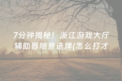 7分钟揭秘！浙江游戏大厅辅助器随意选牌(怎么打才赢)