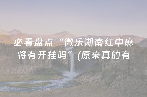 必看盘点“微乐湖南红中麻将有开挂吗”(原来真的有挂)-抖音