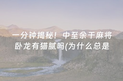 一分钟揭秘！中至余干麻将卧龙有猫腻吗(为什么总是输)
