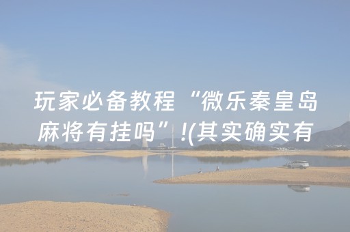 玩家必备教程“微乐秦皇岛麻将有挂吗”!(其实确实有挂)-抖音