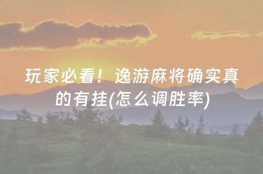 玩家必看！逸游麻将确实真的有挂(怎么调胜率)