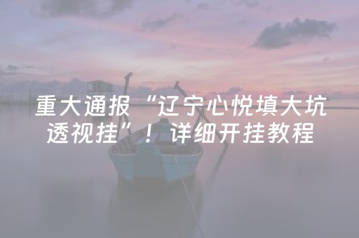 重大通报“辽宁心悦填大坑透视挂”！详细开挂教程（确实真的有挂)-抖音
