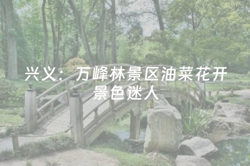 兴义：万峰林景区油菜花开景色迷人