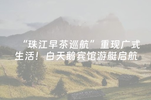 玩家实测“微乐江苏麻将助赢神器（助赢神器通用版）