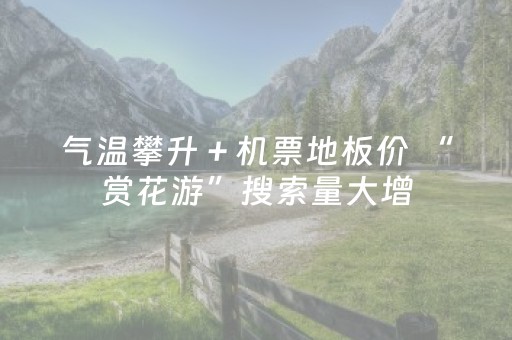 教程辅助“微信金花辅助器通用版（助赢神器通用版）