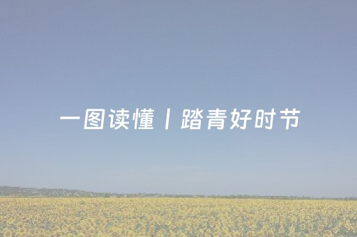 玩家必备教程“微乐山西麻将怎样能赢”（详细透视教程）-哔哩哔哩