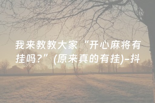 2分钟秒懂！“小程序麻将做弊器是真的吗”（详细透视教程）-哔哩哔哩