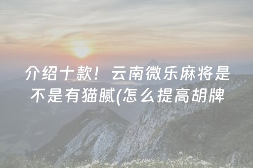 介绍十款！云南微乐麻将是不是有猫腻(怎么提高胡牌率)