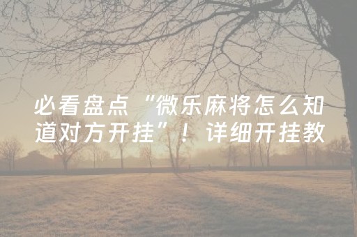 胜率设置方法“微信微乐小程序怎么提高胜率（助赢神器通用版）