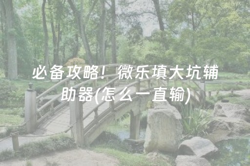 必备攻略！微乐填大坑辅助器(怎么一直输)