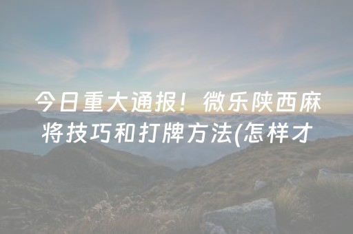 玩家必备教程“雀神辅助器苹果版（专用辅牌神器免安装）