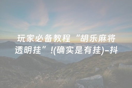 玩家必备教程“胡乐麻将透明挂”!(确实是有挂)-抖音