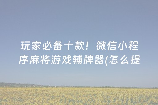 玩家必备十款！微信小程序麻将游戏辅牌器(怎么提高好牌几率)