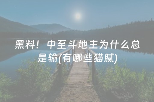 黑料！中至斗地主为什么总是输(有哪些猫腻)