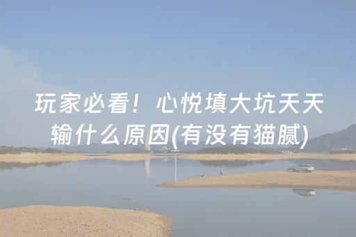 玩家必看！心悦填大坑天天输什么原因(有没有猫腻)