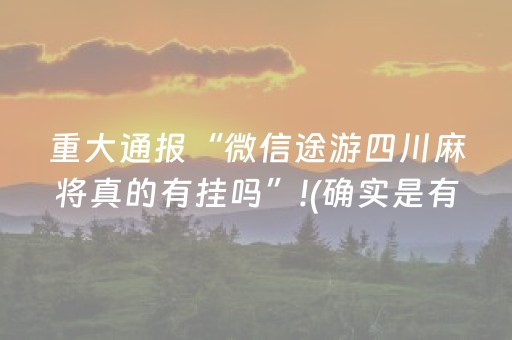重大通报“微信途游四川麻将真的有挂吗”!(确实是有挂)-抖音