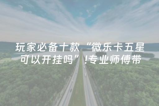 玩家必看“微乐海南麻将专用辅助神器”（提高胜率技巧)