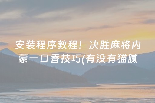 安装程序教程！决胜麻将内蒙一口香技巧(有没有猫腻)