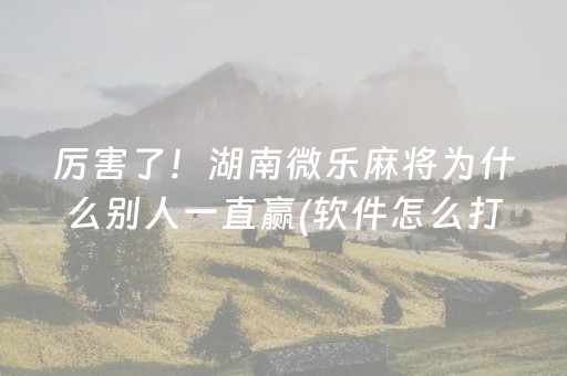 胜率设置方法“麻将万能摇空器（专用辅牌神器免安装）