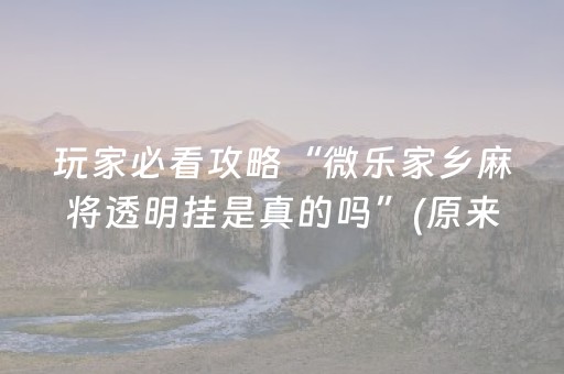 实测教程“微乐麻将插件购买（专用辅牌神器免安装）