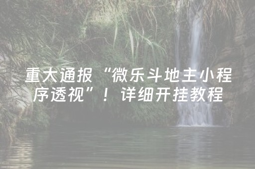 重大通报“微乐斗地主小程序透视”！详细开挂教程（确实真的有挂)-抖音