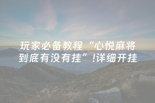 实测结果“麻将包赢不输神器”（详细透视教程）-哔哩哔哩