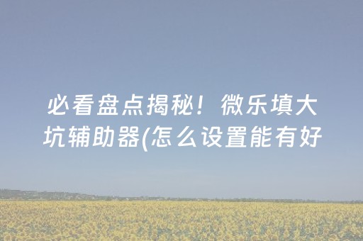 必看盘点揭秘！微乐填大坑辅助器(怎么设置能有好牌)
