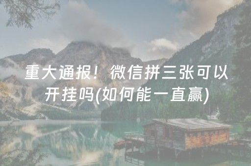 实测辅助“微乐湖南麻将输赢规律（专用辅牌神器免安装）