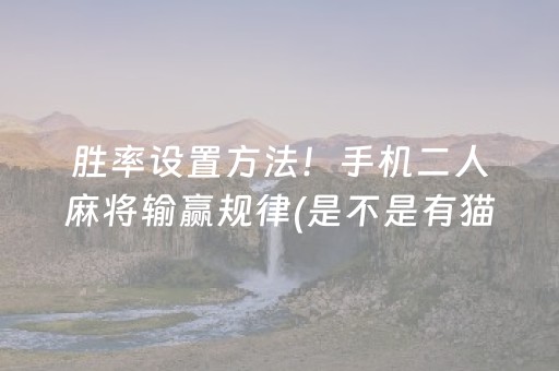胜率设置方法“微乐家乡麻将赢牌的技巧（助赢神器通用版）