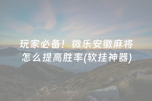 玩家必备！微乐安徽麻将怎么提高胜率(软挂神器)