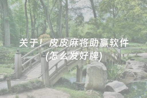 关于！皮皮麻将助赢软件(怎么发好牌)