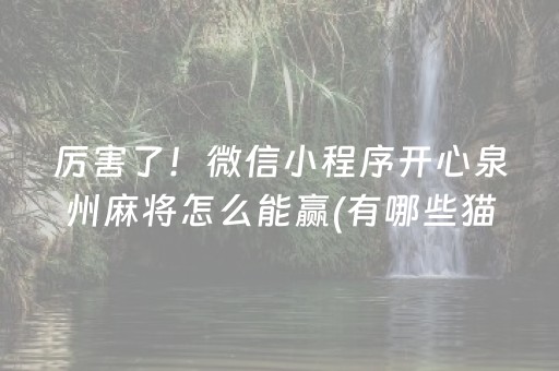 3分钟学会“最新麻将解码器（助赢神器通用版）