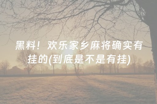 黑料！欢乐家乡麻将确实有挂的(到底是不是有挂)
