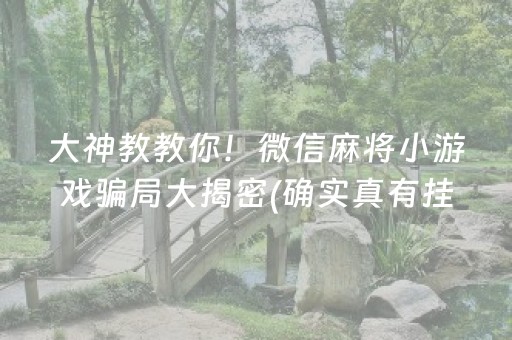 大神教教你！微信麻将小游戏骗局大揭密(确实真有挂)