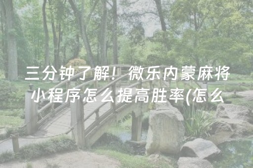 终于发现了“麻将机程序控牌器视频教程（专用辅牌神器免安装）