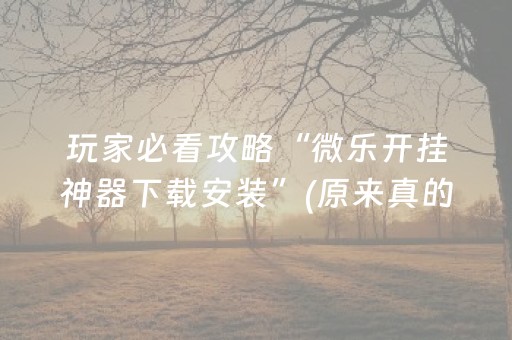 玩家必看攻略“微乐开挂神器下载安装”(原来真的有挂)-抖音