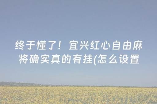 终于懂了！宜兴红心自由麻将确实真的有挂(怎么设置会赢)