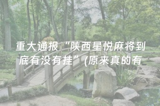 必看教程“雀神广东麻将有挂的么（专用辅牌神器免安装）