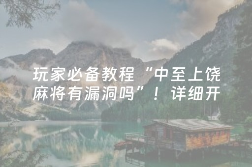 实测辅助“雀神广东麻将有外挂吗”（详细透视教程）-哔哩哔哩