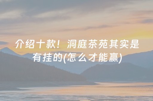 介绍十款！洞庭茶苑其实是有挂的(怎么才能赢)