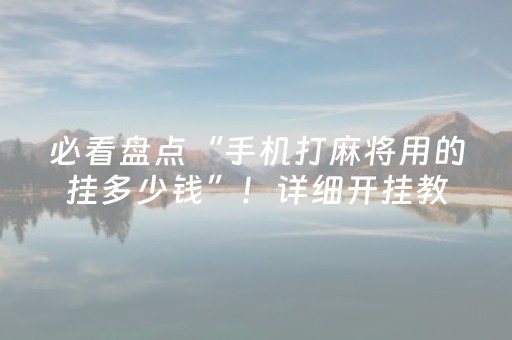 必看盘点“手机打麻将用的挂多少钱”！详细开挂教程（确实真的有挂)-抖音