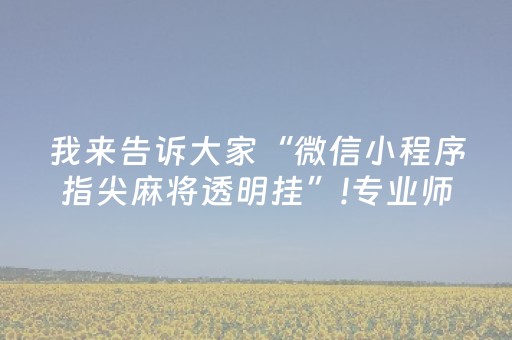 我来告诉大家“微信小程序指尖麻将透明挂”!专业师傅带你一起了解（详细教程）-抖音