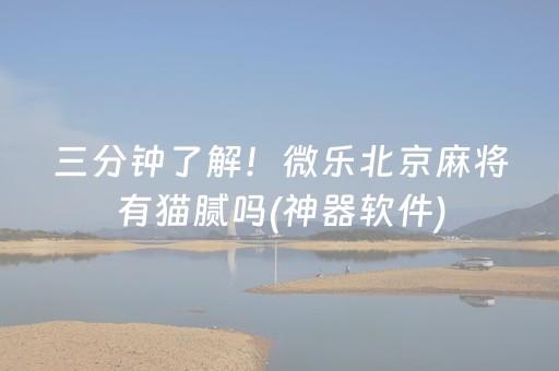 三分钟了解！微乐北京麻将有猫腻吗(神器软件)