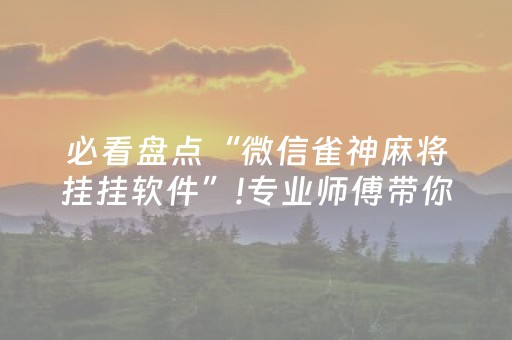 必看盘点“微信雀神麻将挂挂软件”!专业师傅带你一起了解（详细教程）-抖音